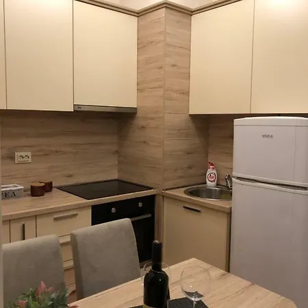 Apartment Stari Aerodrom-bulevar Pera Cetkovica 33